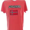 Geographical Norway Rozmiar XXL Kolor Pomarańczowy Męski T-Shirt Krótki rękaw Materiał Bawełna 100%