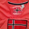 Geographical Norway Rozmiar XXL Kolor Pomarańczowy Męski T-Shirt Krótki rękaw Materiał Bawełna 100%